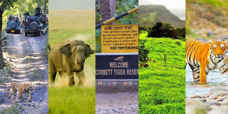 Jim Corbett National Park Tour Packages